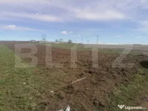 Oportunitate! Teren intravilan, 7000mp, zona Bosanci