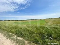 Teren cu suprafata de 8000mp ,situat in Mitocu Dragomirnei,z