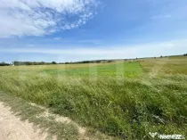 Teren cu suprafata de 8000mp ,situat in Mitocu Dragomirnei,z