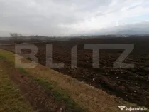 Teren extravilan 21300 mp zona Vintu de Jos