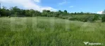 Teren intravilan, 9100 mp, zona Crainimat