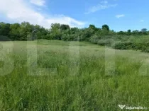 Teren intravilan, 9100 mp, zona Crainimat