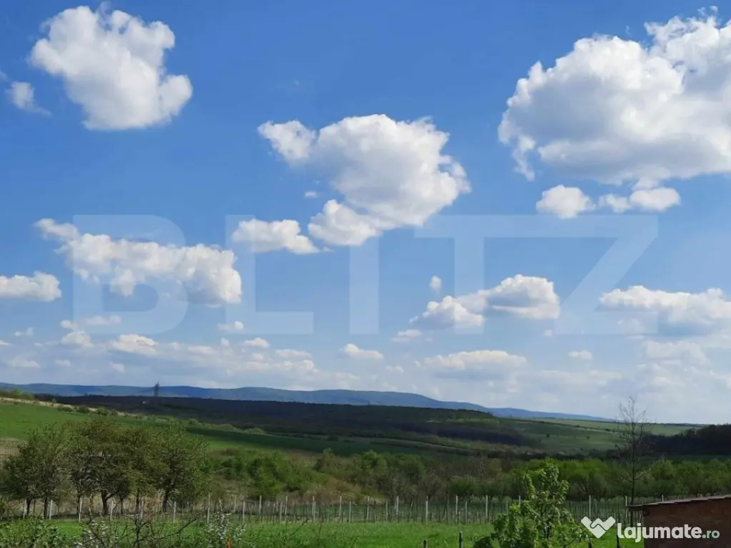 Casa/Vila de vanzare / posibil Pensiune ,cu view și pădur