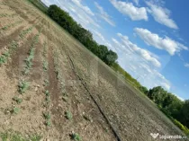 Teren 4800 mp ideal pentru investit, zona Radauti