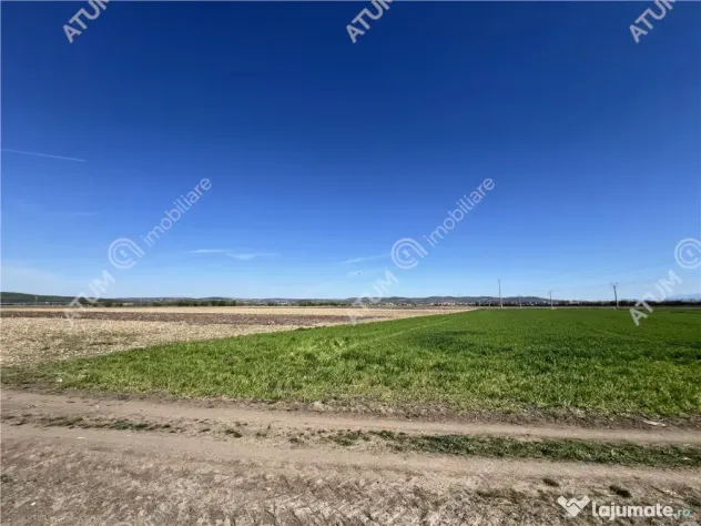 Teren intravilan de 16130 mp situat in Sibiu zona Calea Suri