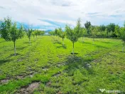 Complex turistic cu restaurant,spatiu de cazare si agrement,com Girov 