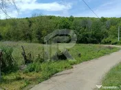 Teren Intrav. in Tiparesti, Cocorasti Mislii, langa padure 