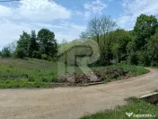 Teren Intrav. in Tiparesti, Cocorasti Mislii, langa padure 