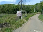 Teren Intrav. in Tiparesti, Cocorasti Mislii, langa padure 