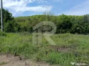 Teren Intrav. in Tiparesti, Cocorasti Mislii, langa padure 