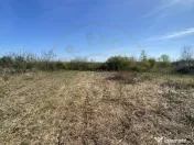 Teren 2000 mp intravilan Smeura-Mosoaia. Comision 0% 