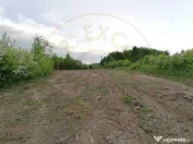 Teren 2000 mp intravilan Smeura-Mosoaia. Comision 0% 