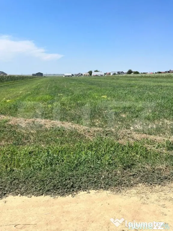 Teren intravilan, 9782 mp, zona Corocaiesti, Suceava - Suceava (Suceava)