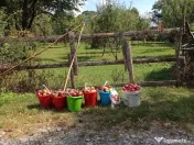 Teren Breaza 800 mp - 1600 mp 