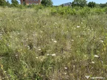 Teren intravilan in Livada Meses in suprafata de 800 mp