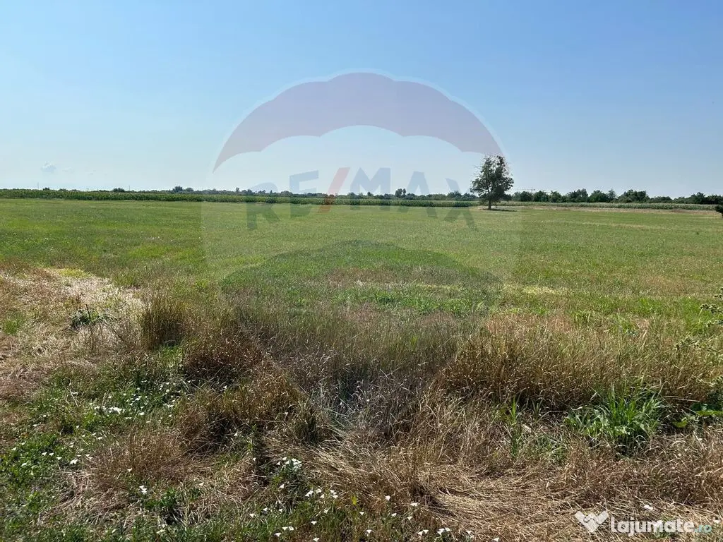 TEREN IN PARCUL INDUSTRIAL MADARAS