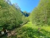 Casa din lemn cu ieșire direct pe Transalpina / Sugag, Alba.