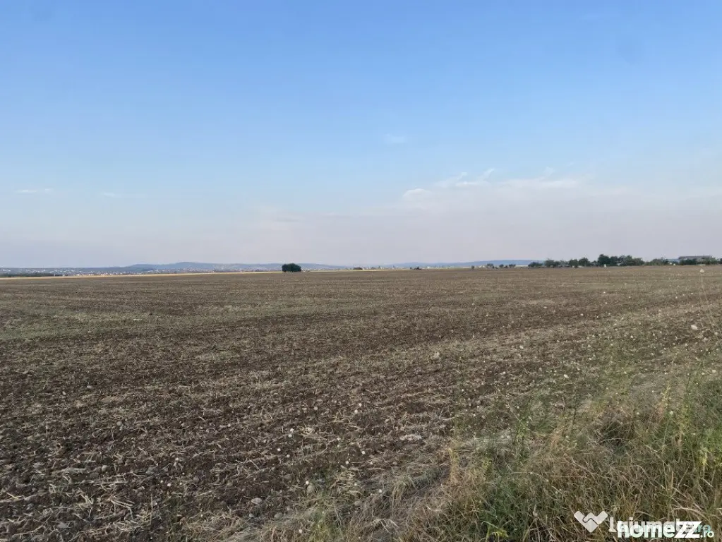 Teren intravilan 29 000 mp, Paulesti. DN1. - Ploiesti (Prahova)