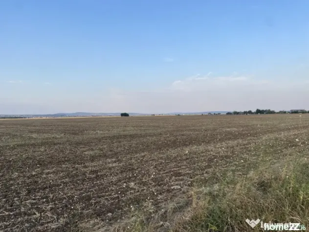 Teren intravilan 29 000 mp, Paulesti. DN1. - Ploiesti (Prahova)