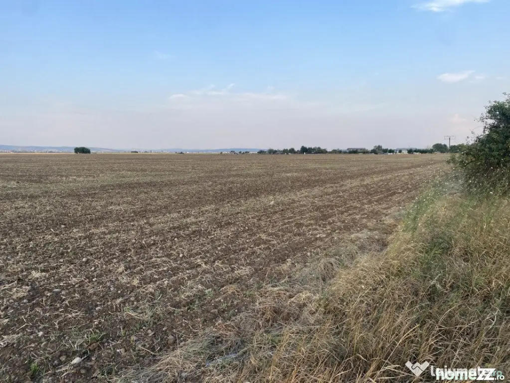 Teren intravilan 29 000 mp, Paulesti. DN1. - Ploiesti (Prahova)
