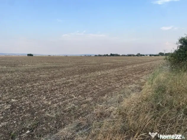 Teren intravilan 29 000 mp, Paulesti. DN1. - Ploiesti (Prahova)