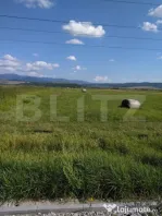 Teren extravilan, Livezile, 1.83 hectare