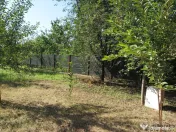 Loc de casa - Zona Gradiste 