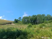 Teren Intravilan in zona Trei Ape, 6889 Mp., 14,5 Euro/Mp., 