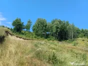 Teren Intravilan in zona Trei Ape, 6889 Mp., 14,5 Euro/Mp., 