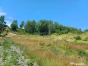 Teren Intravilan in zona Trei Ape, 6889 Mp., 14,5 Euro/Mp., 