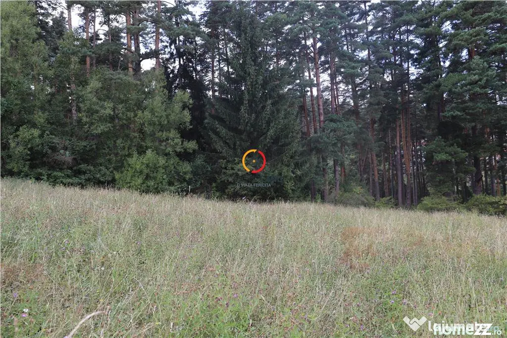 Teren intravilan cu PUZ si PUD 2 loturi