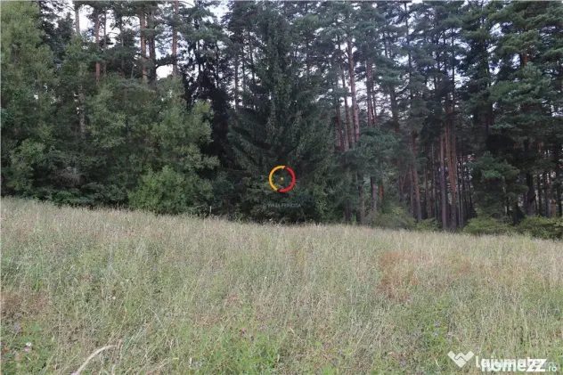 Teren intravilan cu PUZ si PUD 2 loturi