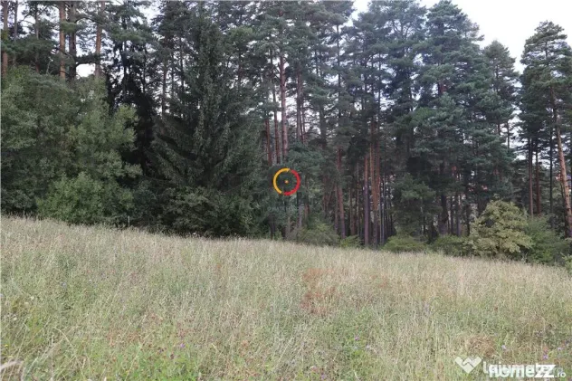 Teren intravilan cu PUZ si PUD 2 loturi