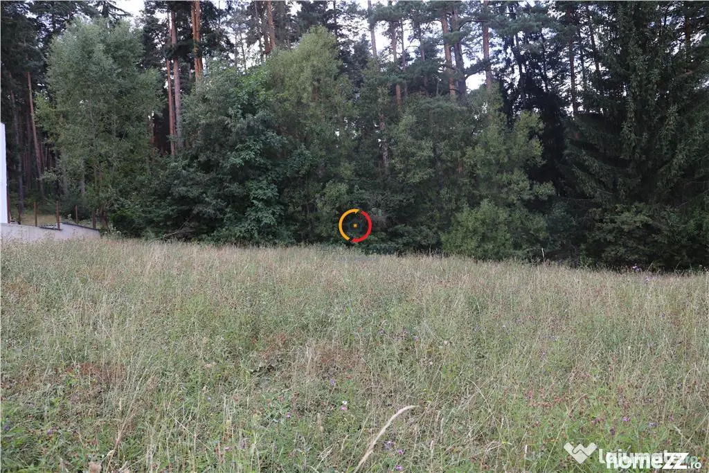 Teren intravilan cu PUZ si PUD 2 loturi