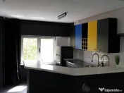 Apartament 3 camere open space Unirii Goga 