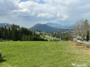 Teren zona Tihuța 4,5 ari 