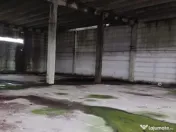 Hala ideal productie Oltenita 