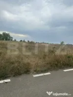 Teren intravilan/extravilan, 1500 mp, Cazaci
