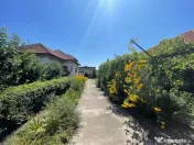 Casa 4 Camere + Teren (6500mp) si Anexe, Turcinesti 