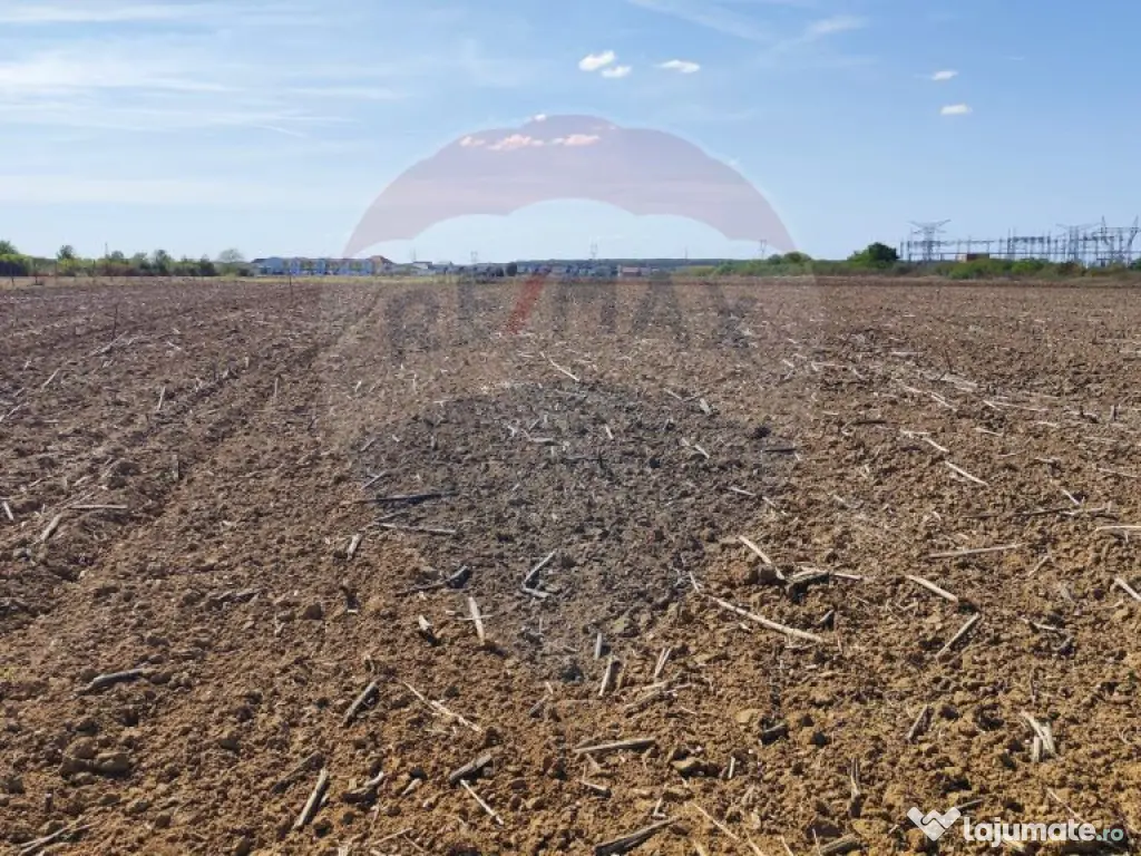 Teren 3187 mp intravilan de vânzare Oradea Nufarul zona ...