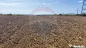 Teren 3187 mp intravilan de vânzare Oradea Nufarul zona ... 
