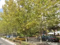 Bd. Theodor Pallady 223 mp vitrina 11 m