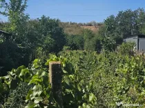 Teren 1800 mp + casa batraneasca - Fartanesti, jud. Galati