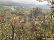 Teren extravilan suparfata 787 mp in zona Bradet