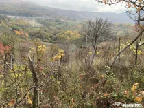 Teren extravilan suparfata 787 mp in zona Bradet
