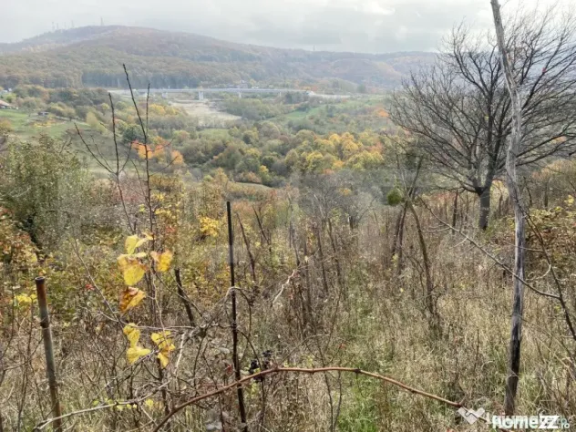 Teren extravilan suparfata 787 mp in zona Bradet - Zalau (Salaj)