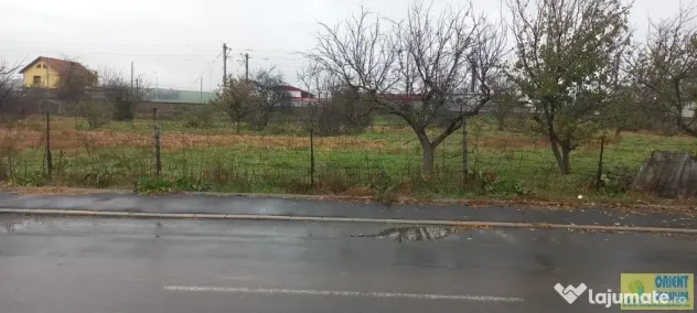Valu lui Traian, teren intravilan, 3.200mp, vanzari