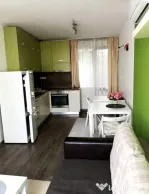 Apartament cu 1 camera in zona Buziasului