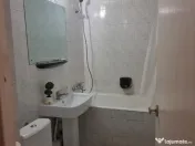 Ap 3 cam , tip PC , et 4 acoperis , Nufarul , mobilat , dotat 