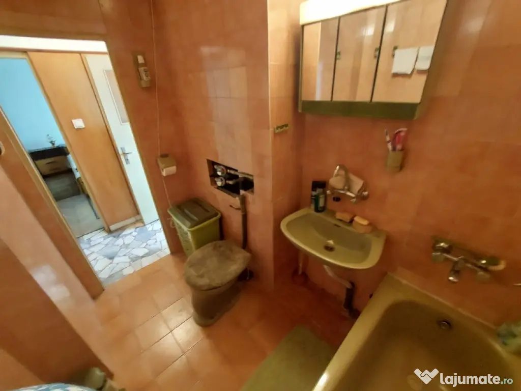 Apartament 2 camere de vanzare Badea Cartan